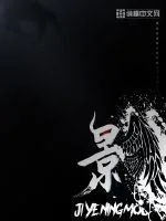 《堕影》封面