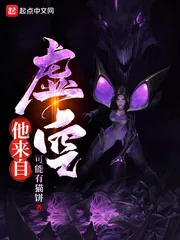 《他来自虚空》小说封面