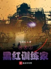 《精灵之黑红训练家》封面