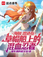 《海贼：混迹在草帽船上的混血忍者》小说封面