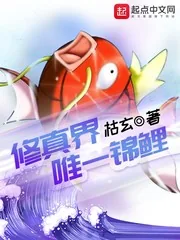 《修真界唯一锦鲤》封面