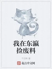 《我在东瀛捡废料》封面