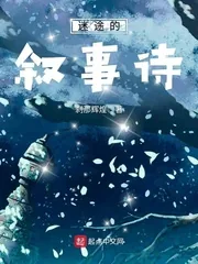 《迷途的叙事诗》封面