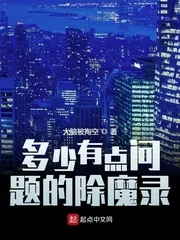 《多少有点问题的除魔录》封面