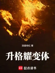 《升格耀变体》小说封面