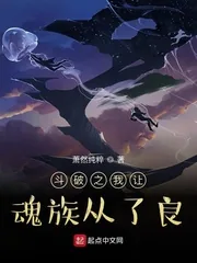 《斗破之我让魂族从了良》封面