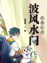 《波风水门的猪队友》封面