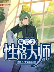 《精灵之性格大师》封面
