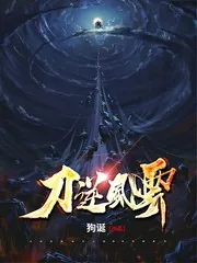 《刀逆风云》封面