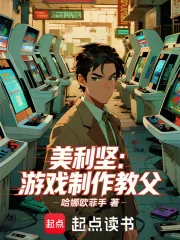 《美利坚：游戏制作教父》小说封面