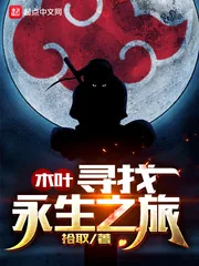 《木叶寻找永生之旅》封面