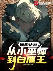 《霍格沃茨：从小巫师到白魔王》封面