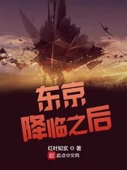 《东京降临之后》封面