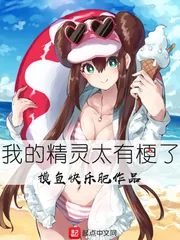 《我的精灵太有梗了》封面