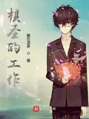 《棋圣的工作》封面