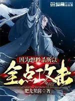 《因为想秒杀所以全点攻击》封面