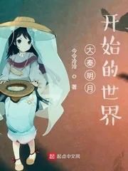 《大秦明月开始的世界》小说封面