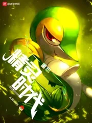 《重启精灵时代》小说封面