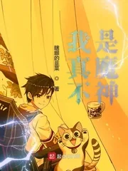 《我真不是魔神》封面