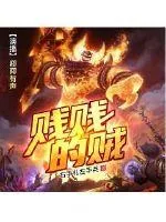《贱贱的贼》封面