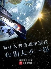 《为什么我的机甲游戏和别人不一样》封面