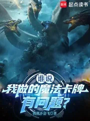 《谁说我做的魔法卡牌有问题？》小说封面