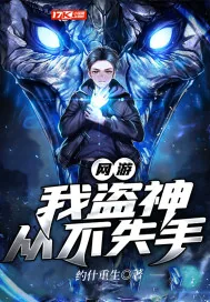 《网游：我盗神，从不失手》封面