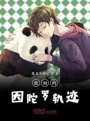 《佐助的因陀罗轨迹》封面