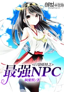 《口袋妖怪之最强NPC》封面