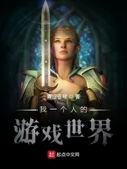 《我一个人的游戏世界》封面