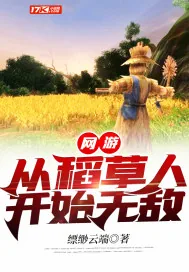 《网游：从稻草人开始无敌》封面