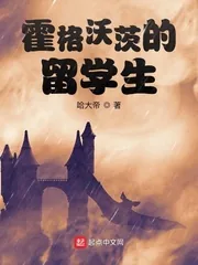 《霍格沃茨的留学生》小说封面