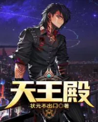 《天王殿》封面
