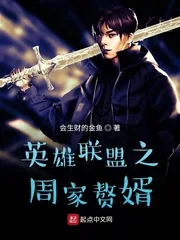 《英雄联盟之周家赘婿》封面