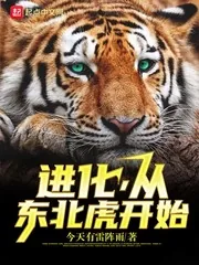 《进化，从东北虎开始》封面