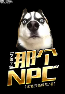 《那个NPC又来了》小说封面