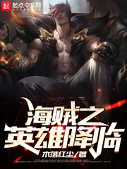 《海贼之英雄降临》封面