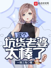 《这个坑货老婆太棒了》小说封面