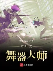 《木叶之舞器大师》封面