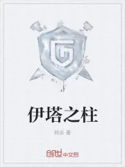 《伊塔之柱》小说封面