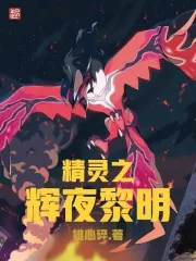 《精灵之辉夜黎明》封面