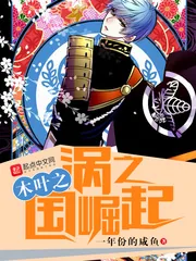 《木叶之涡之国崛起》封面