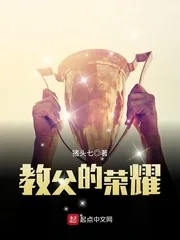 《教父的荣耀》小说封面