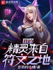 《我的精灵来自符文之地》封面