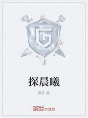 《探晨曦》封面