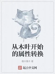 《从木叶开始的属性转换》封面