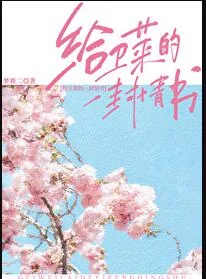 《给卫莱的一封情书》小说封面