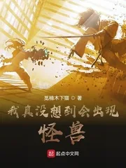 《我真没想到会出现怪兽》小说封面