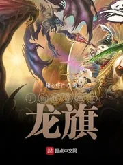 《于新世界高举龙旗》封面