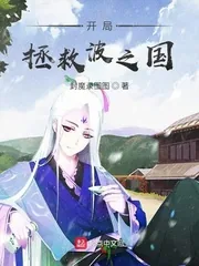 《开局拯救波之国》封面